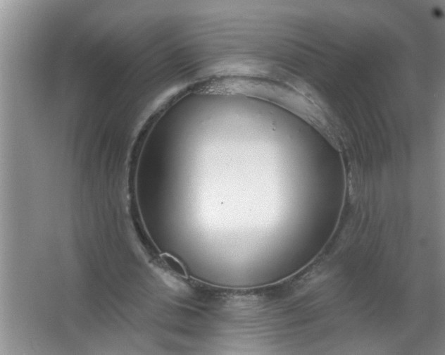 X0000063450438200602031812