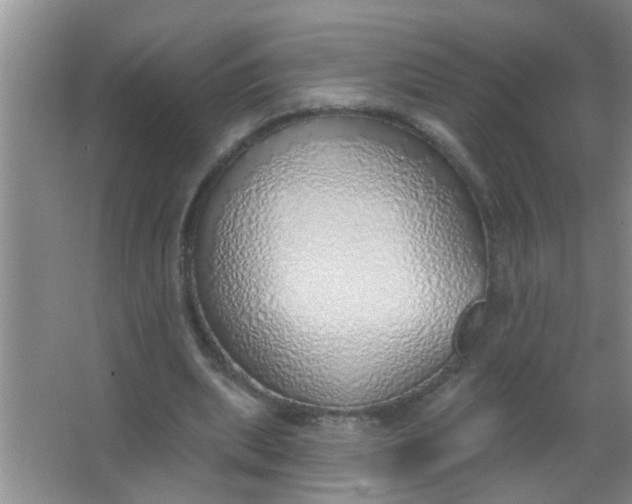 X0000063450439200602031812