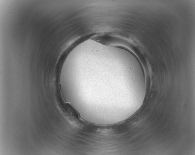 X0000063450440200602031812