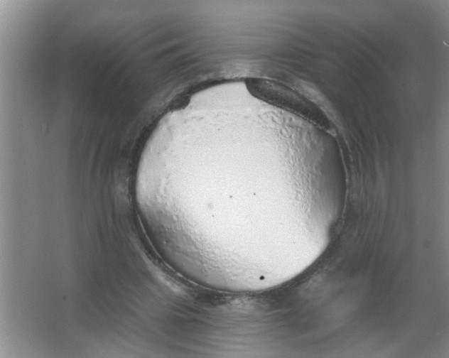 X0000063450441200602031812