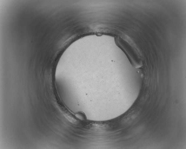 X0000063450442200602031812