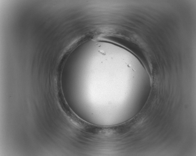 X0000063450444200602031812