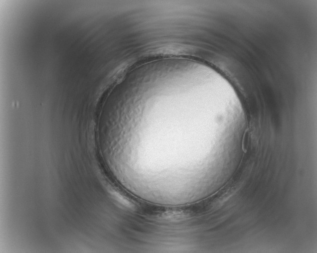 X0000063450445200602031812