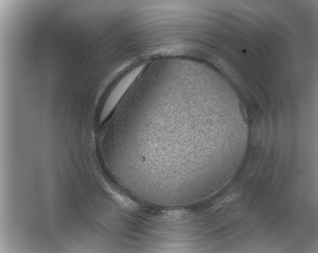 X0000063450446200602031812