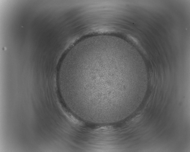 X0000063450447200602031812