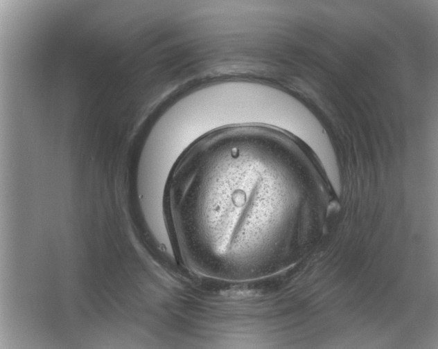 X0000063450448200602031812