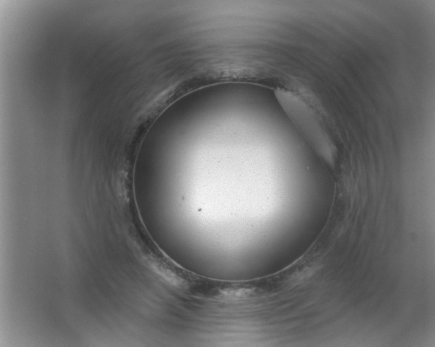 X0000063450450200602031812