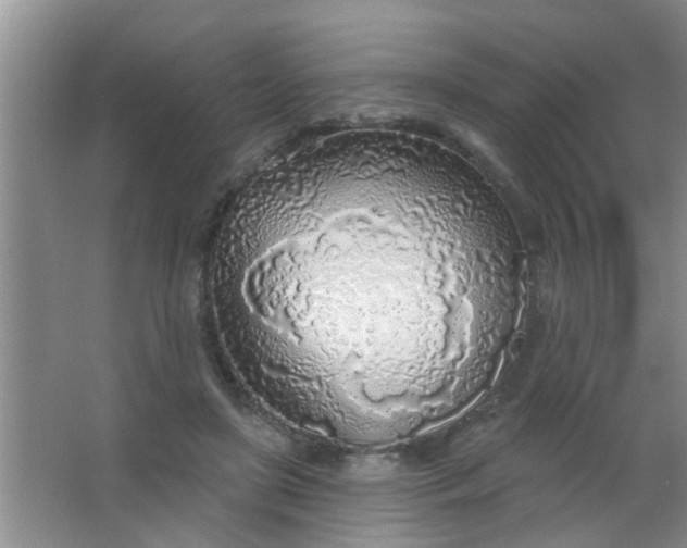 X0000063450451200602031812