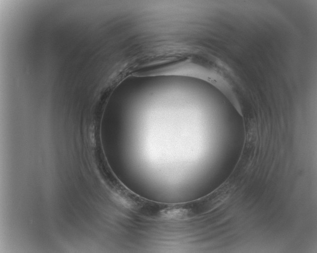 X0000063450452200602031812