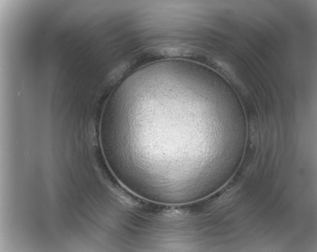 X0000063450453200602031812