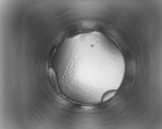 X0000063450457200602031812