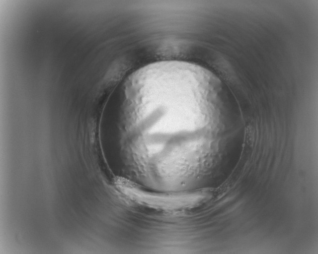 X0000063450458200602031812