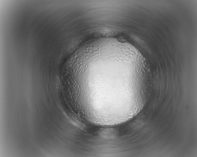 X0000063450459200602031812