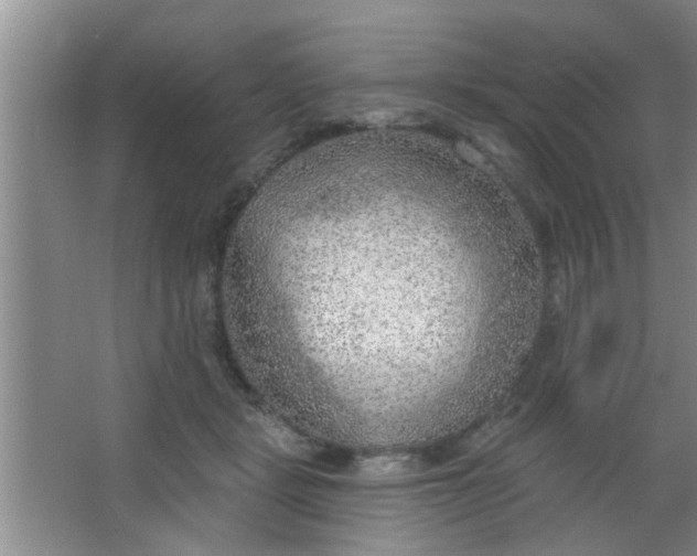 X0000063450461200602031812