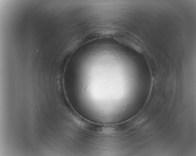 X0000063450462200602031812