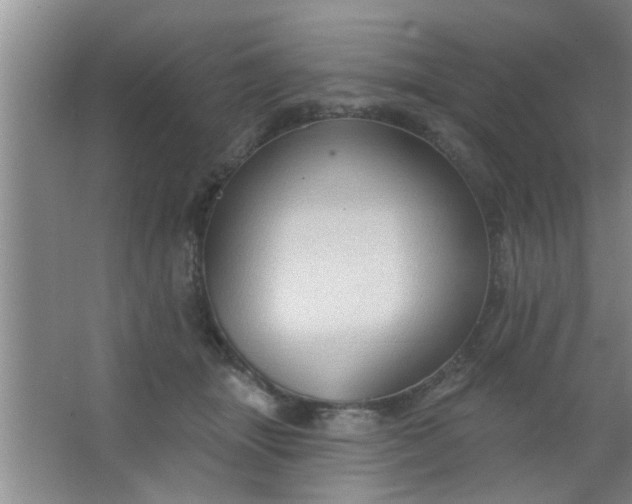 X0000063450463200602031812