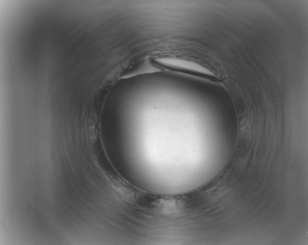 X0000063450464200602031812