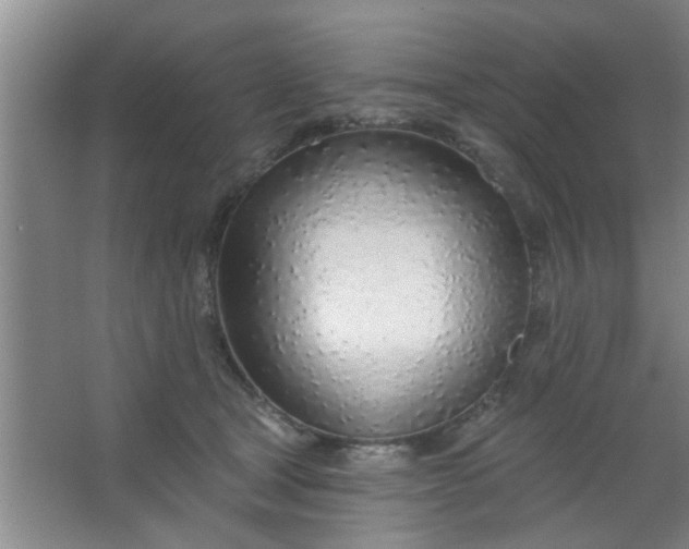 X0000063450465200602031812