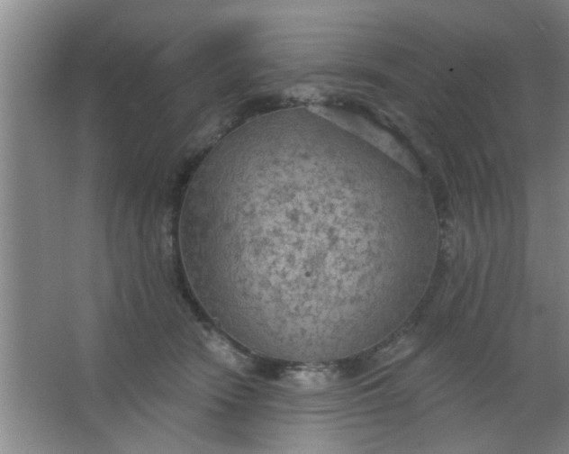 X0000063450466200602031812