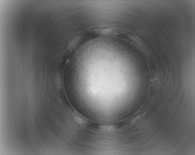 X0000063450469200602031812