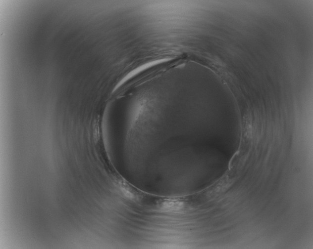 X0000063450471200602031812