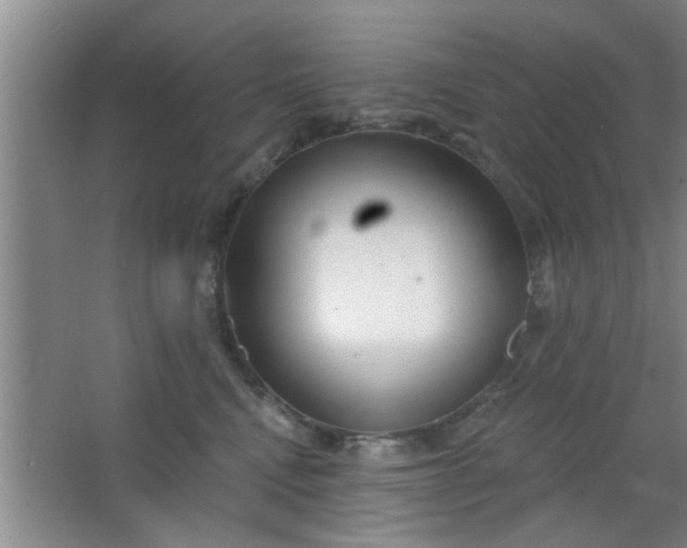 X0000063450472200602031812