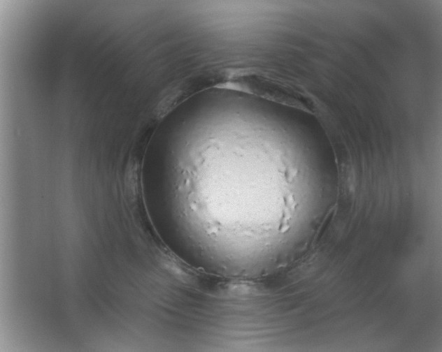 X0000063450475200602031812