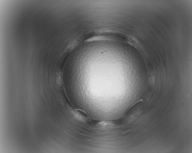 X0000063450477200602031812