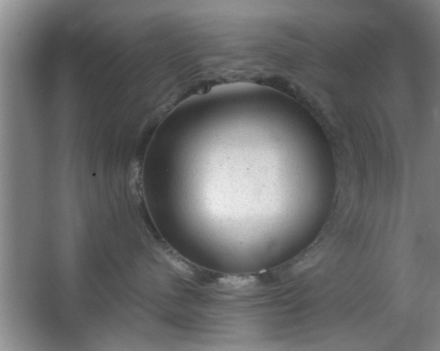 X0000063450480200602031813