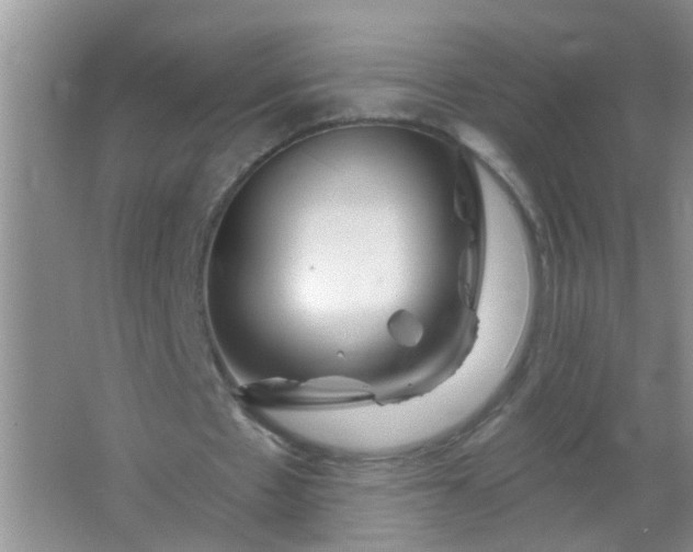 X0000063450481200602031812