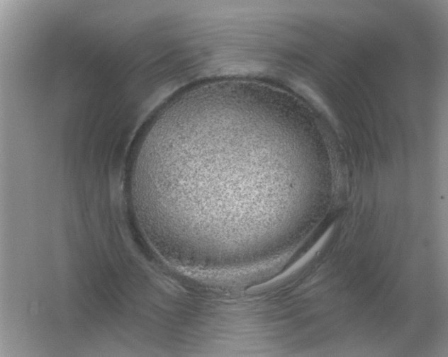 X0000063450483200602031812