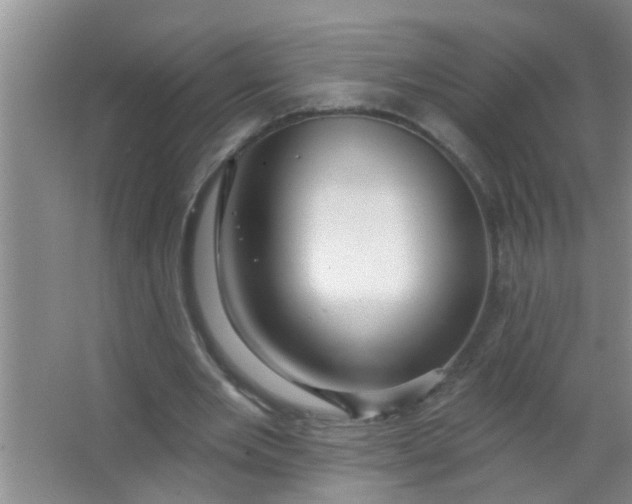 X0000063450485200602031812