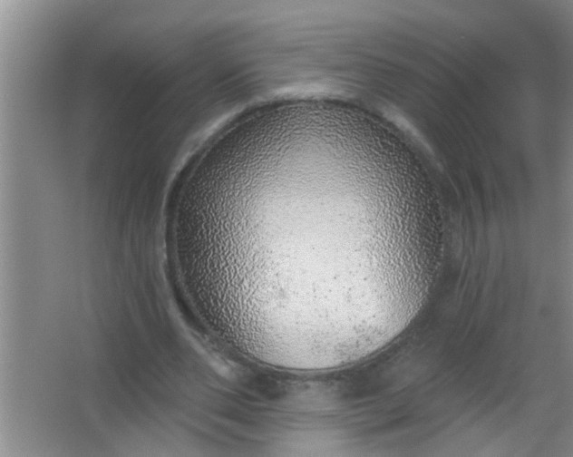 X0000063450486200602031812