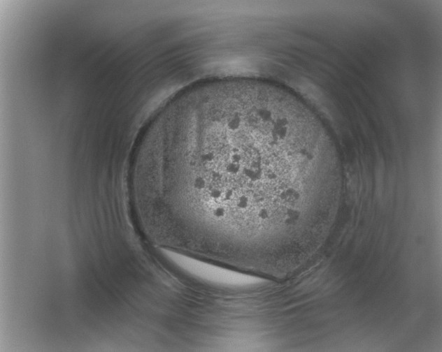 X0000063450487200602031812