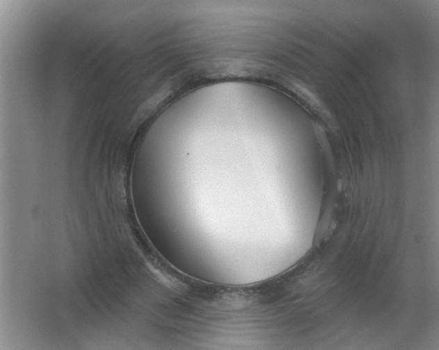 X0000063450489200602031812