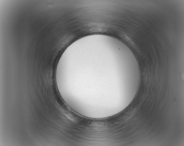 X0000063450490200602031812