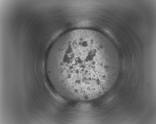 X0000063450491200602031812