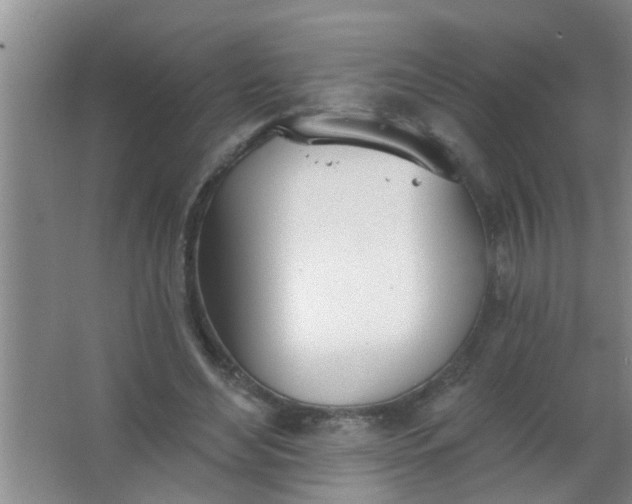 X0000063450492200602031812