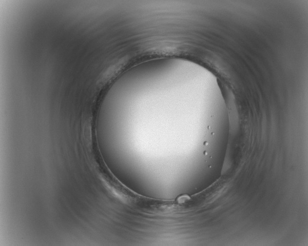 X0000063450493200602031811