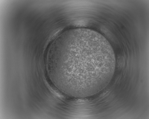 X0000063450494200602031811