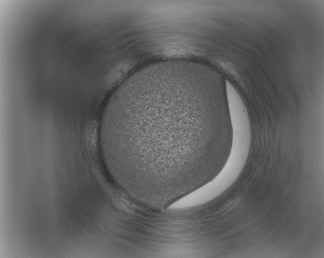 X0000063450495200602031811