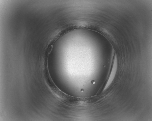 X0000063450496200602031811