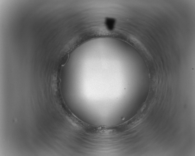 X0000063450497200602031811