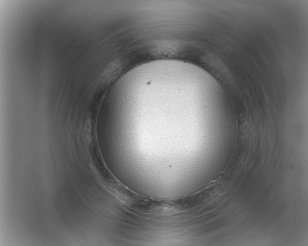 X0000063450498200602031811