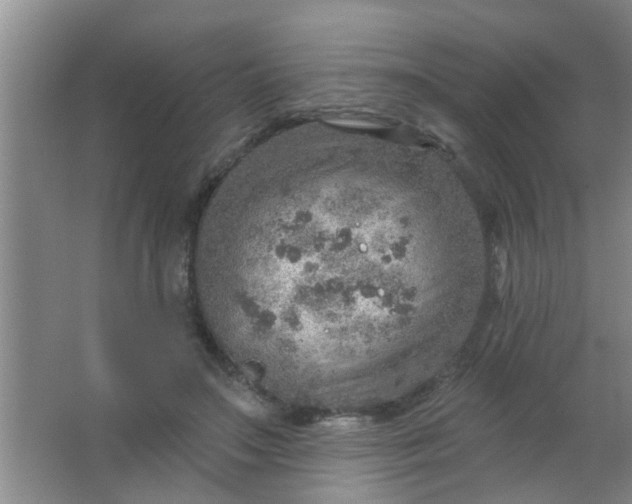 X0000063450499200602031811