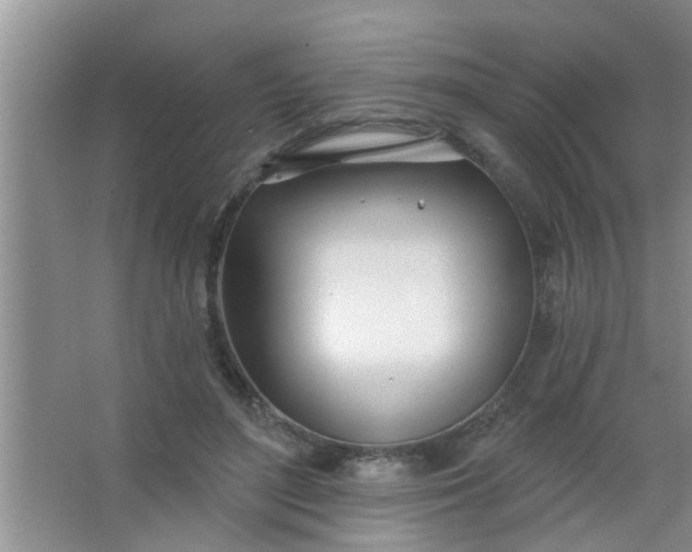 X0000063450500200602031811