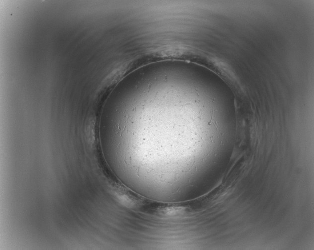 X0000063450501200602031811