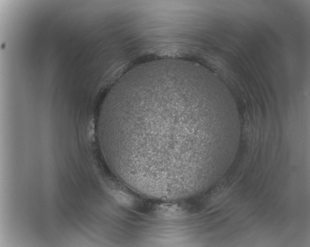 X0000063450502200602031811