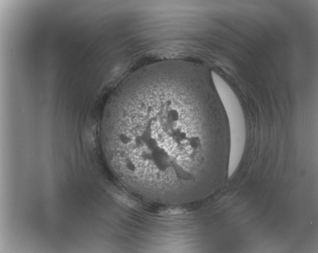 X0000063450503200602031811