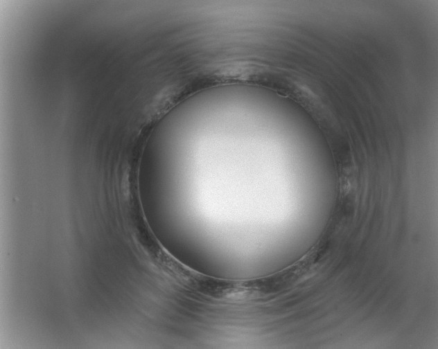 X0000063450504200602031811